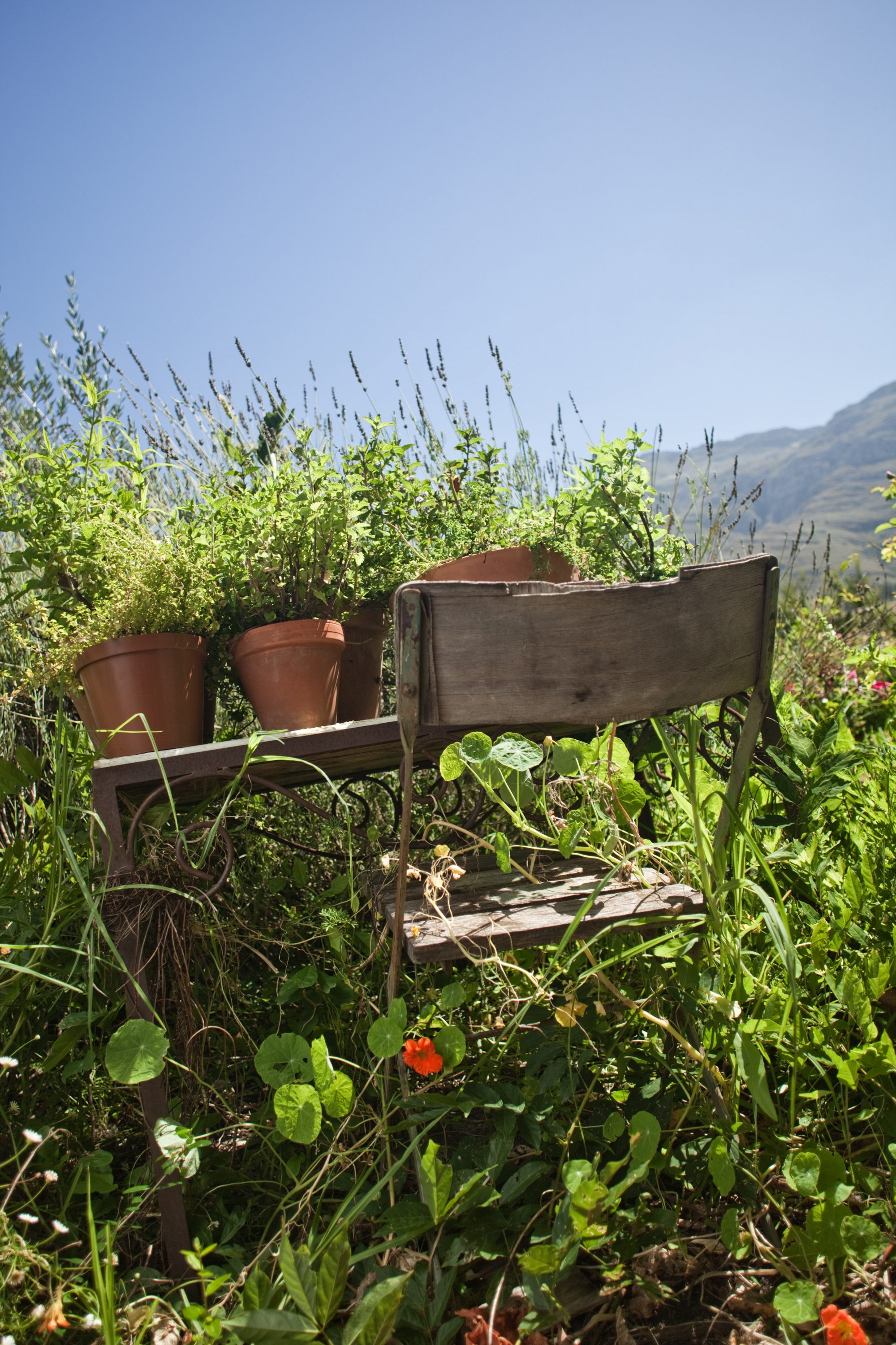 Country/ Waterford/ ZA