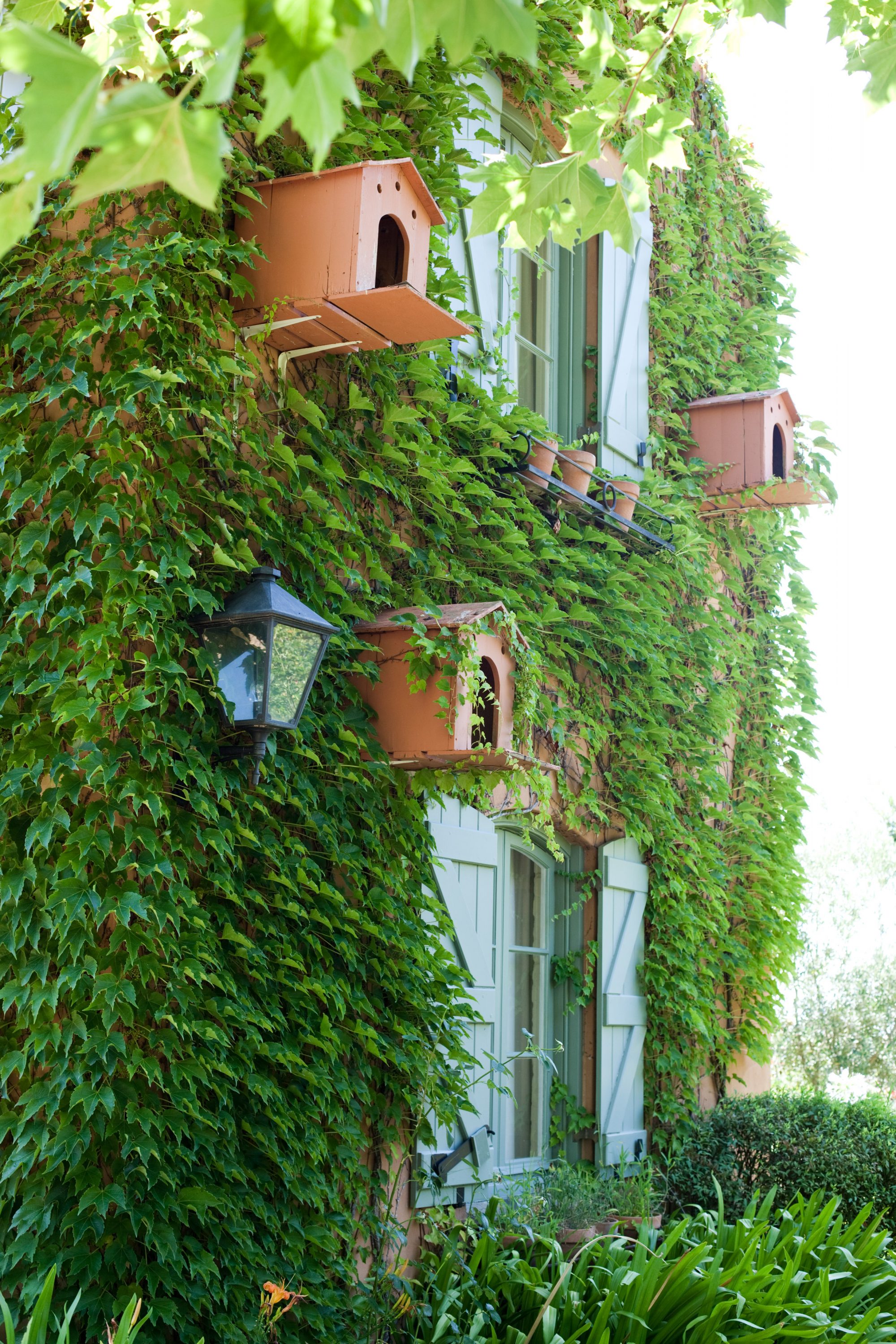 Country/ Waterford/ ZA