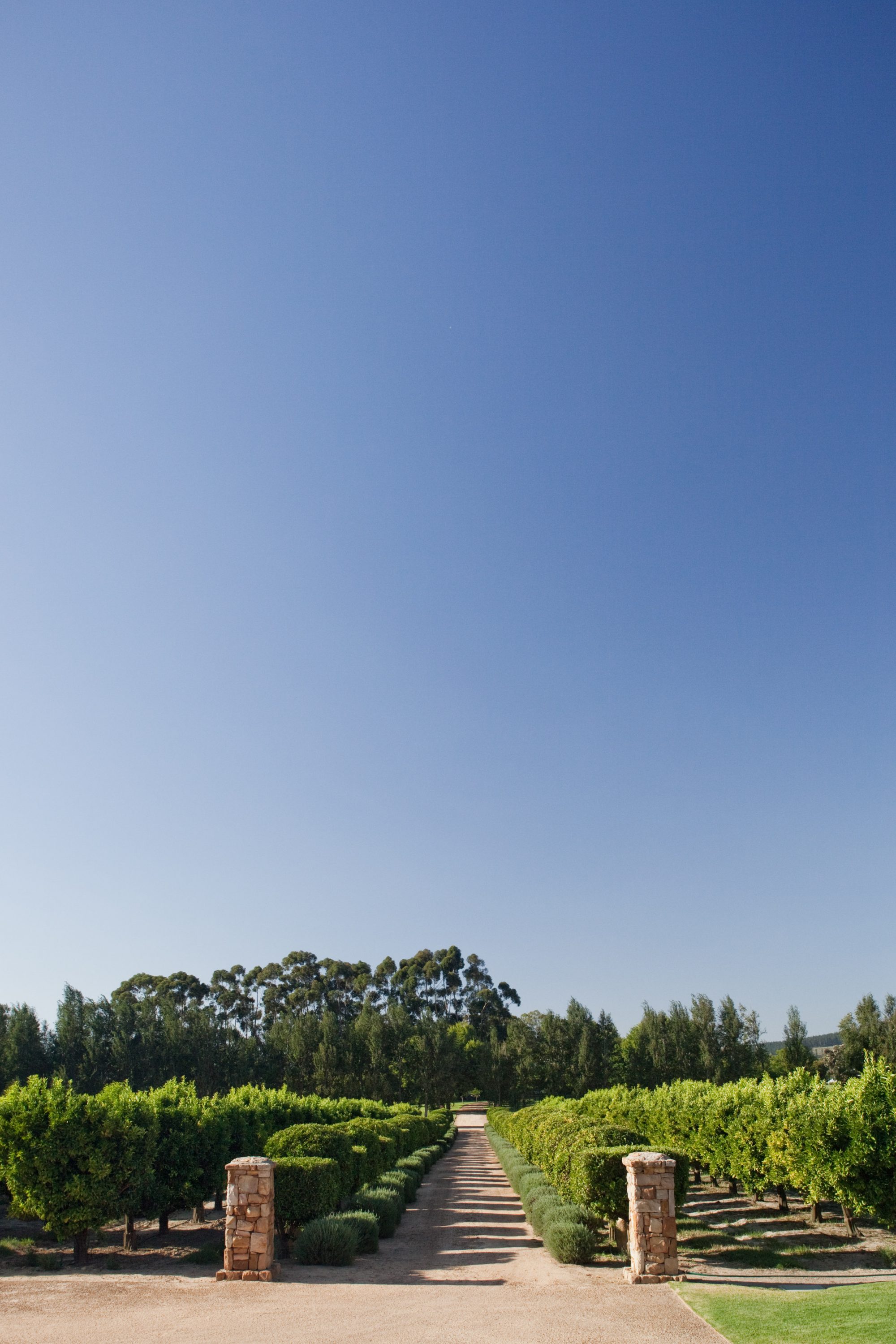 Country/ Waterford/ ZA