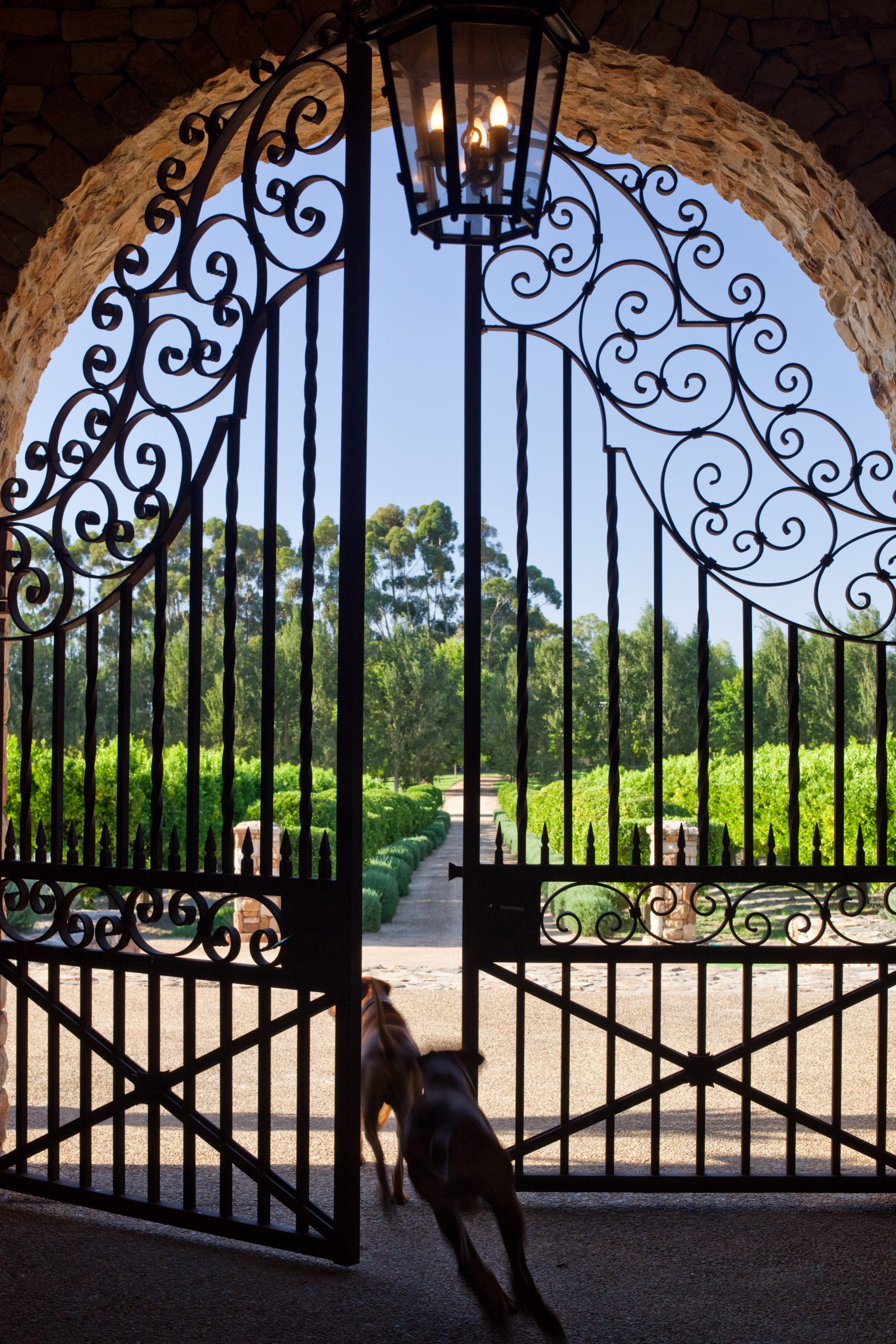 Country/ Waterford/ ZA