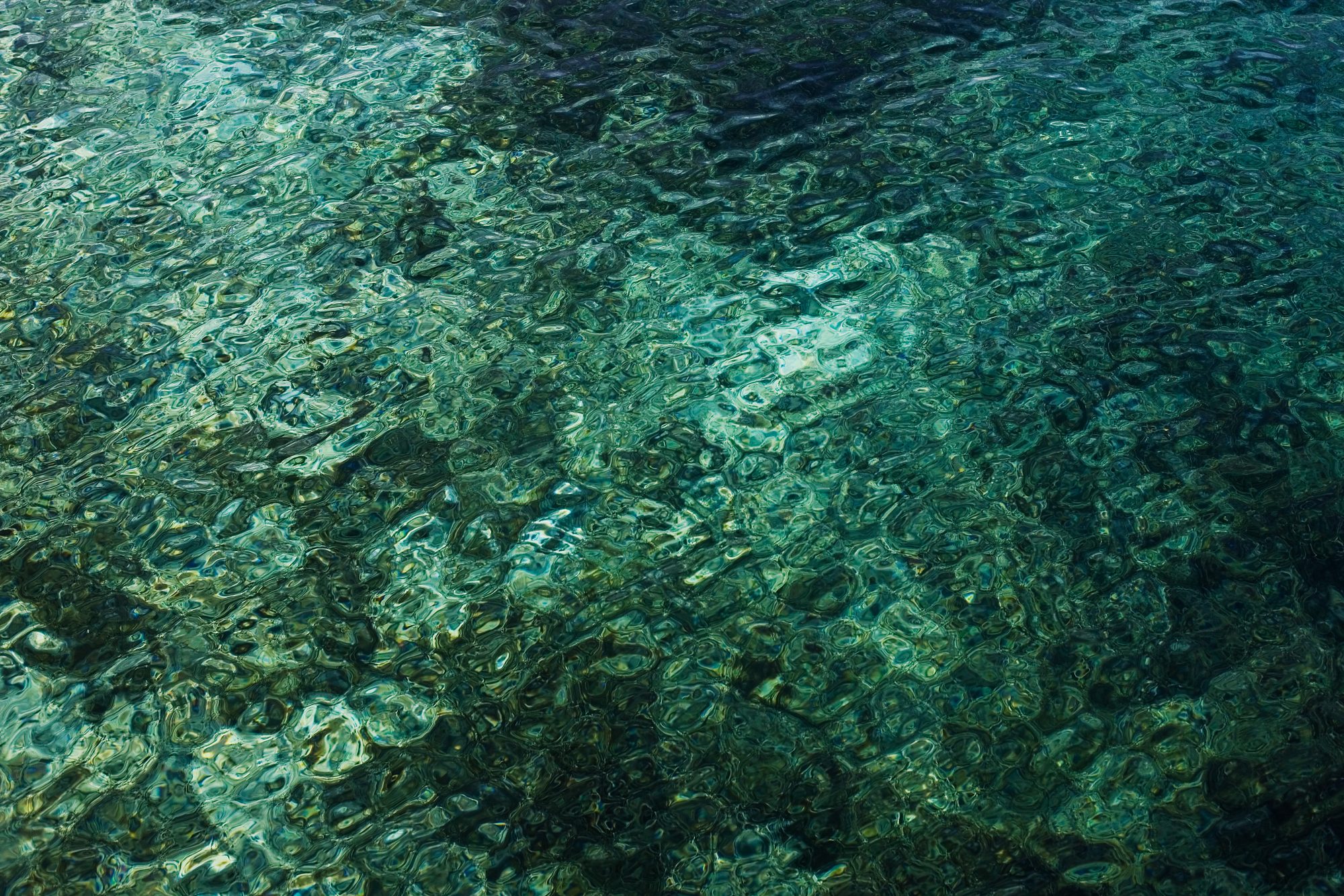 blick-auf-grund-in-klarem-meerwasser-grün