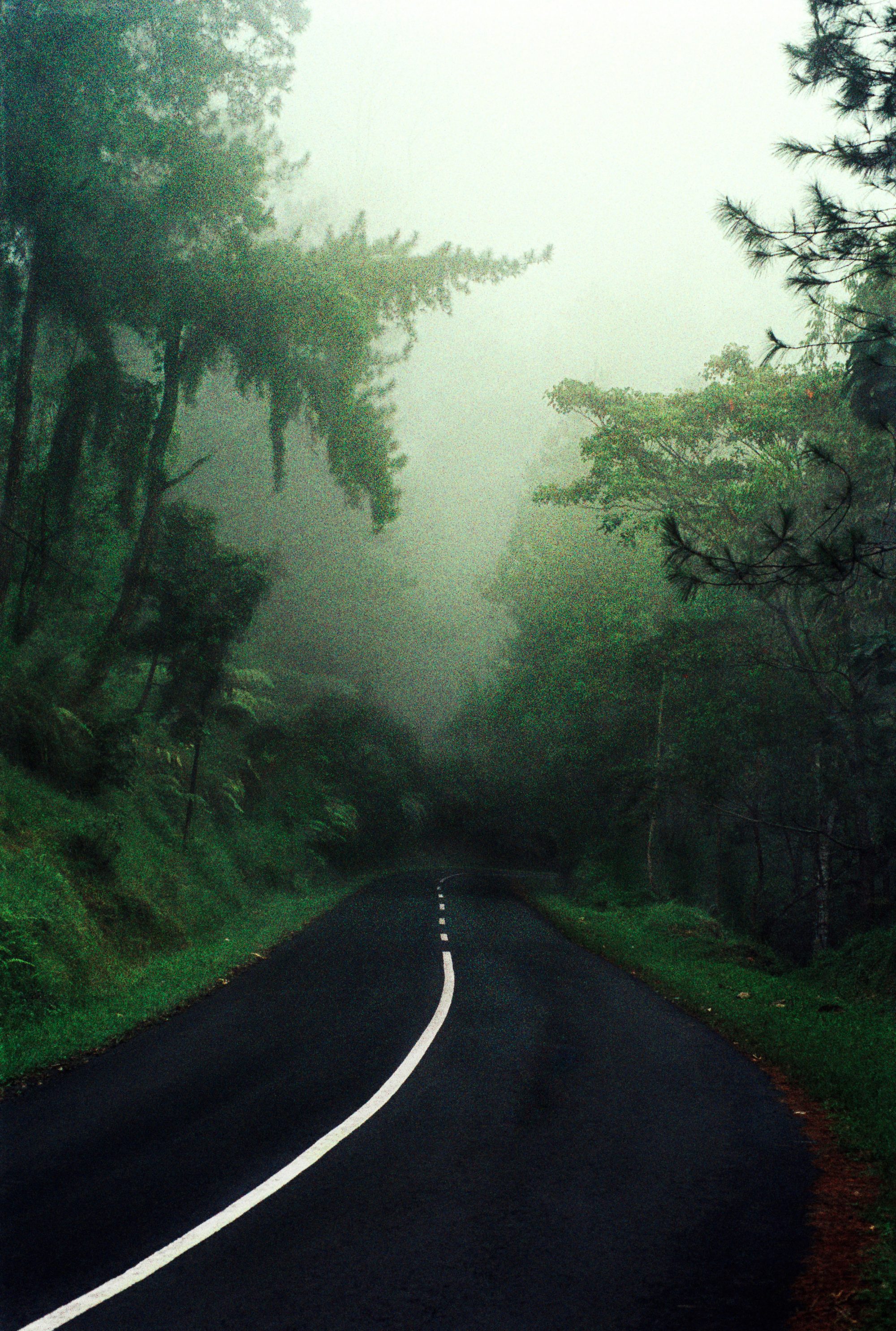 schwarze-asphalt-strasse-im-tropischen-regenwald-jungel