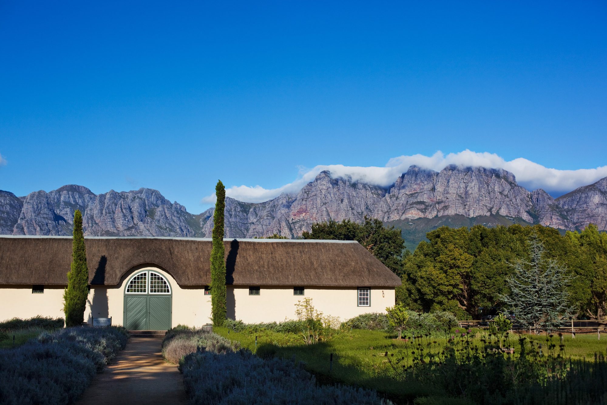 weinanbau-region-kapstadt-suedafrika