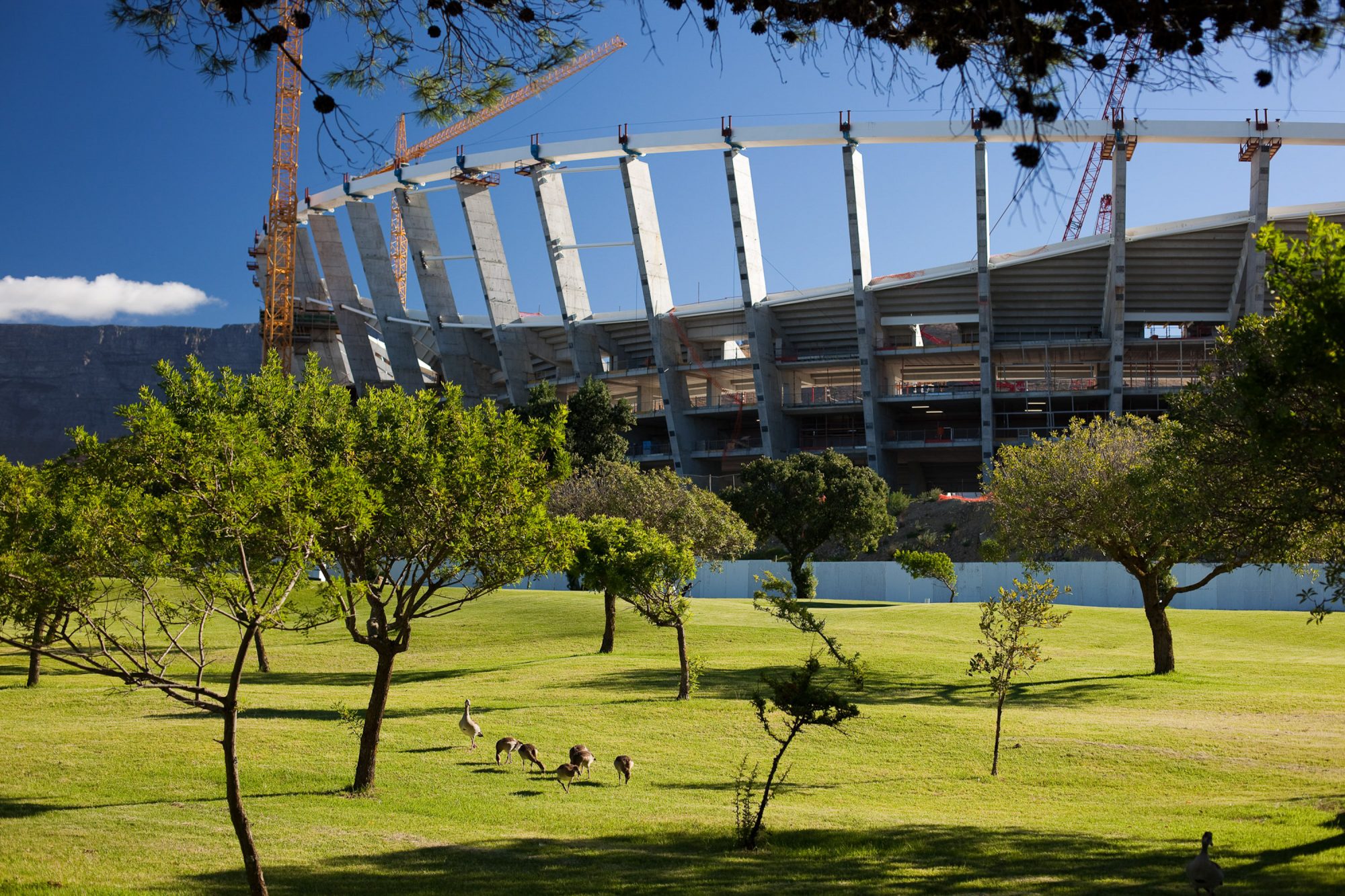 kapstadt-stadion-im-bau-2