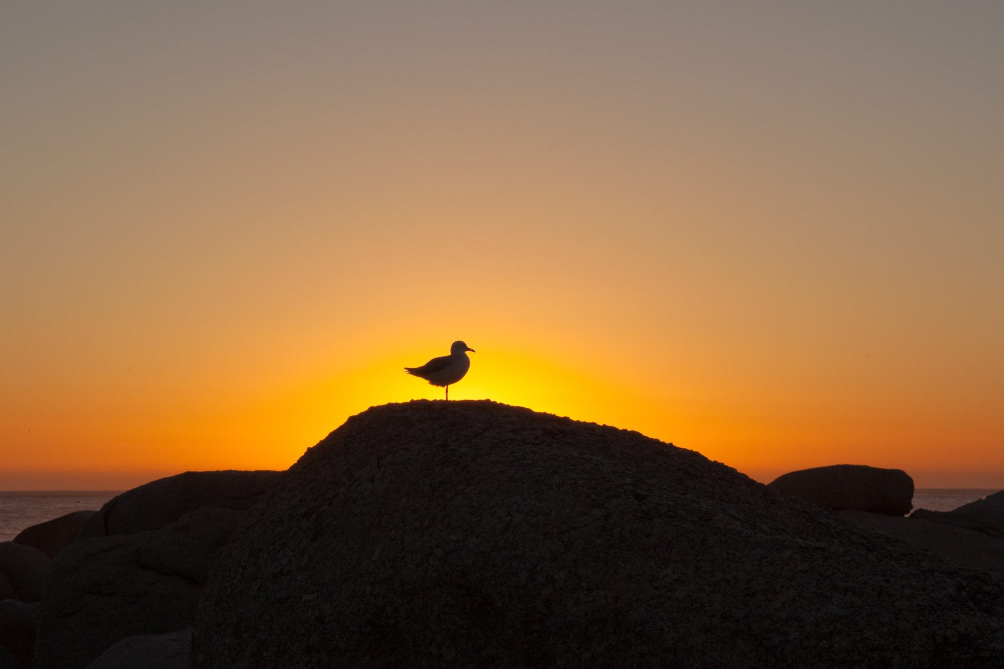 moeve-silhouette-sonnenuntergang