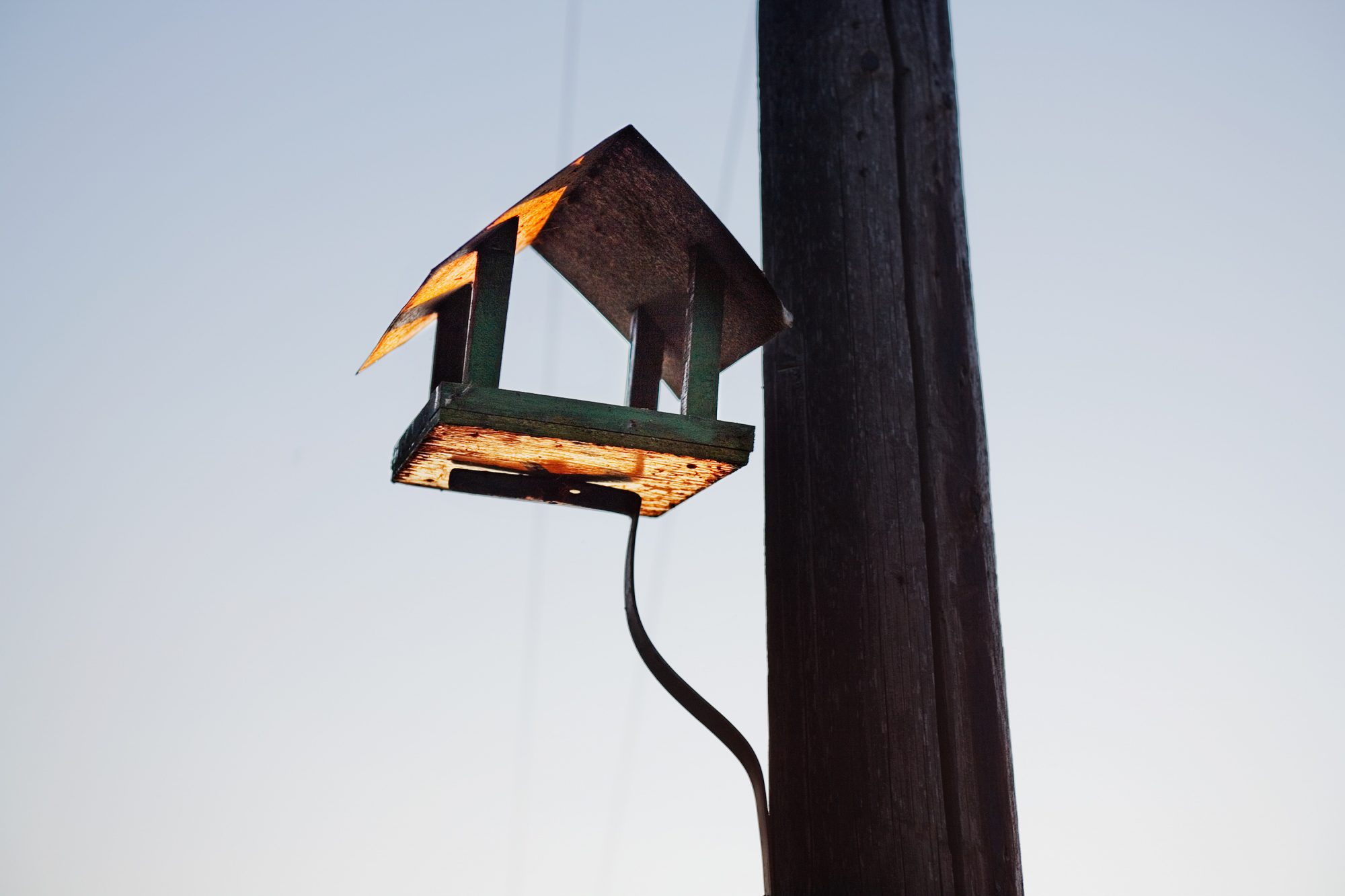 vogel-haus-eigenheim-