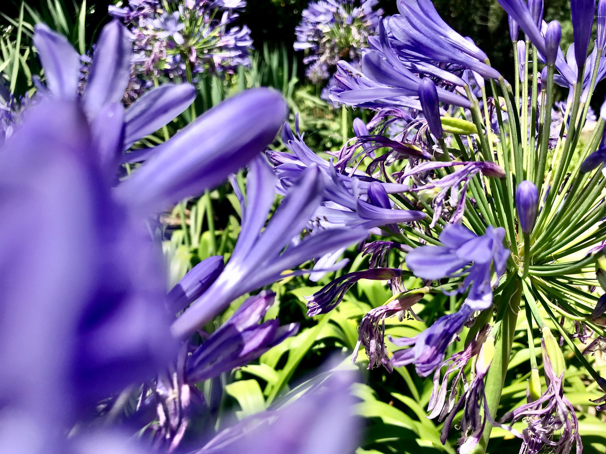 urs-kuester-fotograf-hamburg-004