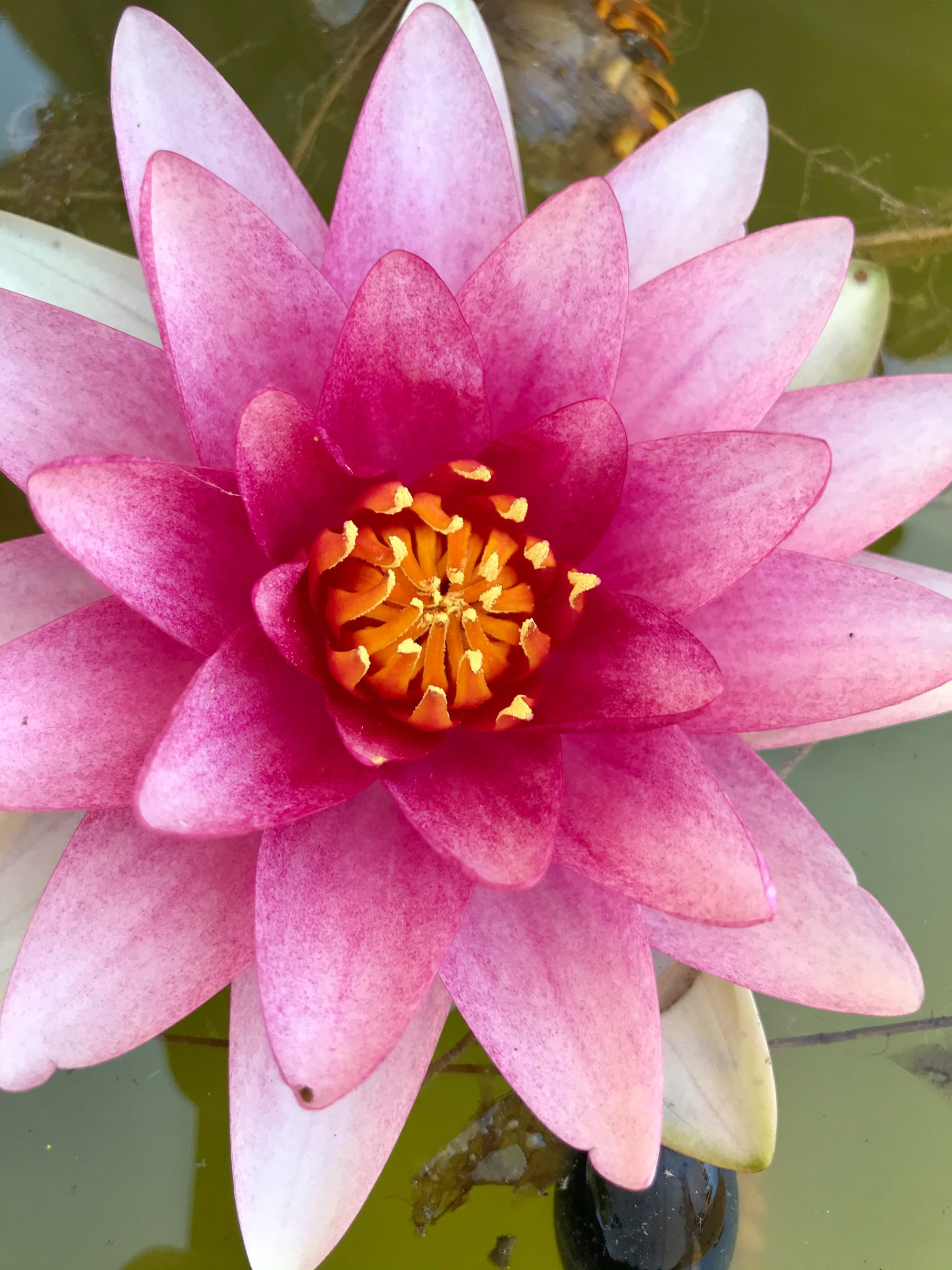 urs-kuester-fotograf-hamburg-005