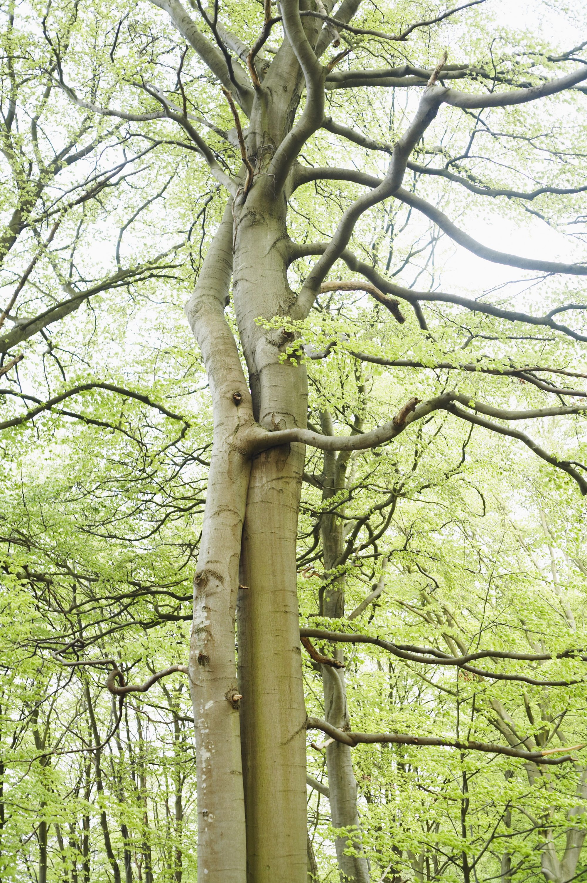 03861815 – Umarmung