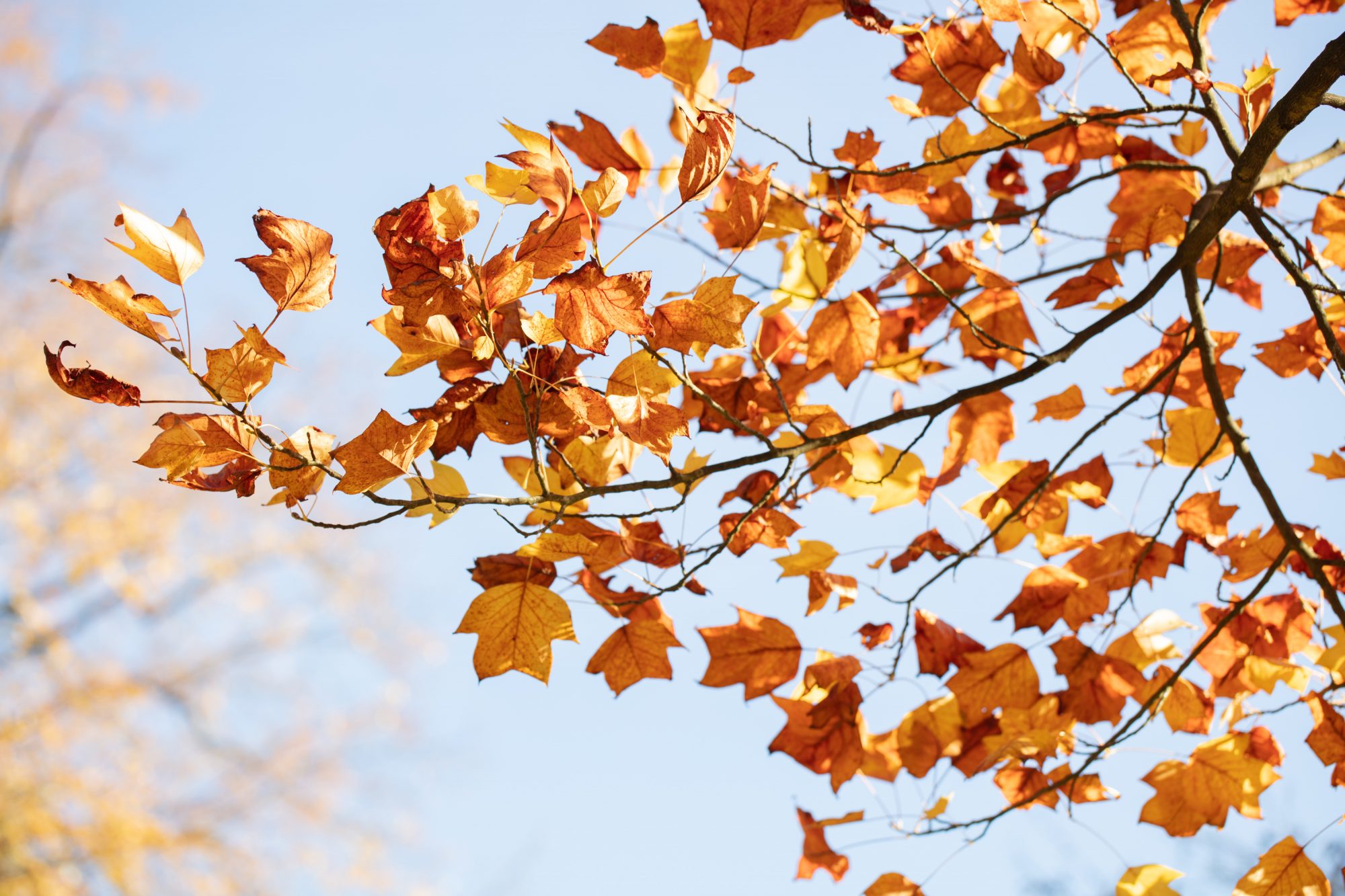 urs-kuester-fotograf-2051